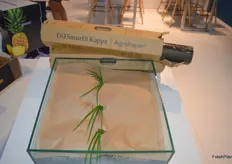 AgroPaper ® un producto revolucionario de Smurfit Kappa para acolchado agrícola hecho de papel.