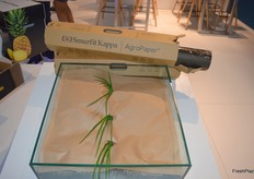 AgroPaper ® un producto revolucionario de Smurfit Kappa para acolchado agrícola hecho de papel.