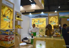 Ginafruit de Ecuador (Machala - El Oro) presentando diferentes bananas para todo tipo de mercados.