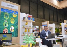 Banabay, productor y comercializador de banana de Ecuador.