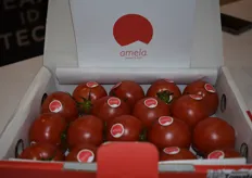 El tomate Amela de Granada La Palma de dulce e intenso sabor