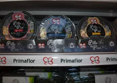 "Pilla y Pica", el producto más innovador de Primaflor: listo para comer y de características nutricionales idóneas.