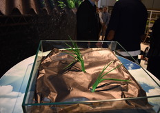 El exitoso Agropaper de Smurfit Kappa en su versión color negro para optimalizar el acolchado agrícola.