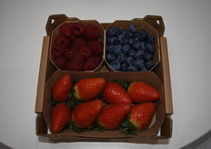 Flor de Doñana solo produce frutos ecológicos de calidad premium en embalajes sostenibles y atractivos.