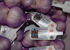 Ajo morado de calidad premium de San Isidro "El Santo".