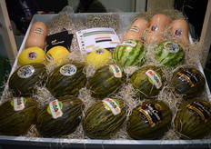 El surtido de Cincofresh.