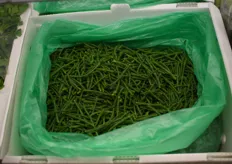 La salicornia española de Herbex se exporta cada vez más. 