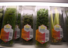 La línea de hierbas ecológicas de Herbex se exportan a todo el mundo y en particular Escandinavia, Suiza y Alemania.