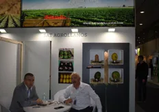 SAT Agrollanos nos comentó el buen posicionamiento del melón español en mercados internacionales.