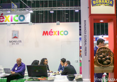 El equipo de Bonanza Global Fresh esta ocupado