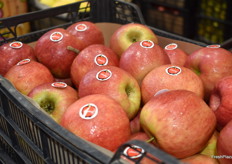 Manzanas de la marca Churry.