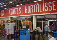 Fruites I Hortalisses