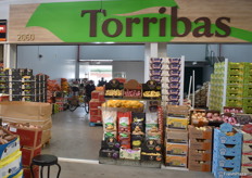 Torribas