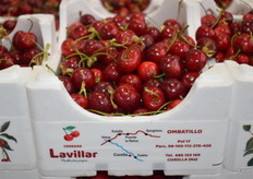 Cerezas de Escandell y Lucas.