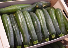 Calabacín ofrecido por Fruits Calvo.