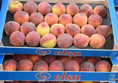 Nectarinas ofrecidas por Frutasa.