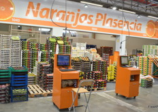 Naranjas Plasencia