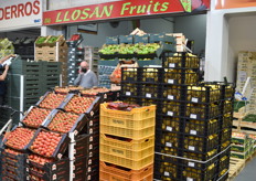 Llosan Fruits.