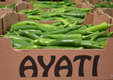 Pimientos de la marca Ayati, ofrecidos por Germans Barri.