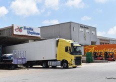 Fruits Urpinas y Ronda Fruits.