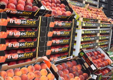 Nectarinas ofrecidas por Visafruits.