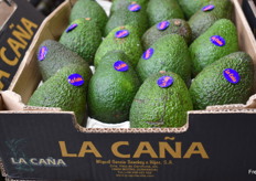 Aguacates de la marca La Caña.