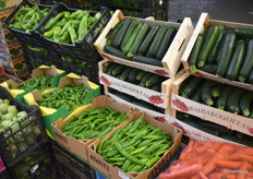 Hortalizas de Verdu Dalma.