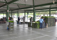 También venden fuera del pabellón G.