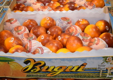 La exclusiva marca de cítricos de G.I.S; Bugui