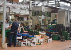 Al final del pabellón G puedes encontrar diferentes cooperativas.