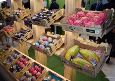 Frutas tropicales y exóticas expuestas en el stand de Tropical Millenuim.