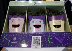 Redi, el brócoli morado de Bejo Ibérica con atributos únicos que agregan color y originalidad a cualquier comida.