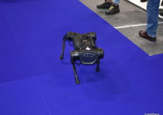 Por donde pasó, este entrañable robot atrajo todas las miradas en la feria