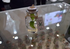 Novedad de venta de plantas in vitro en el stand de Viveros BROKAW. Aquí una muestra de una platanera.