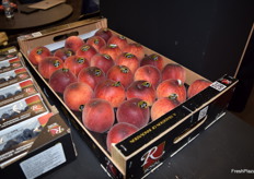Primeras nectarinas de la campaña de fruta de hueso de Fresh Royal.