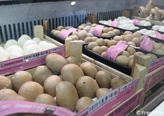 Champiñones blancos y marrones. Sabrosos, sin grasa y bajos en azúcares.