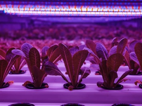 Afbeeldingsresultaat voor Bonbio ikea