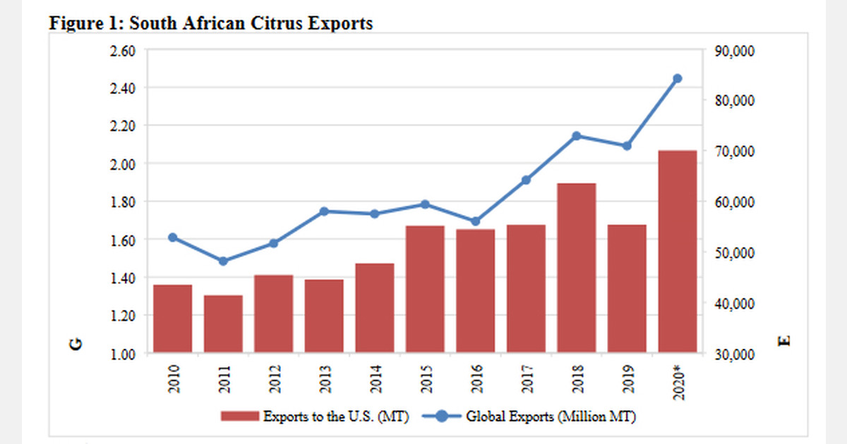 Récord de exportaciones de cítricos sudafricanos en 2020