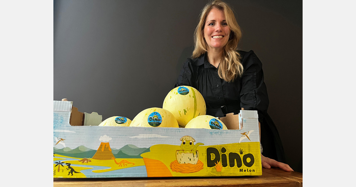 "El número de "retailers" que han incluido el melón DINO en su surtido