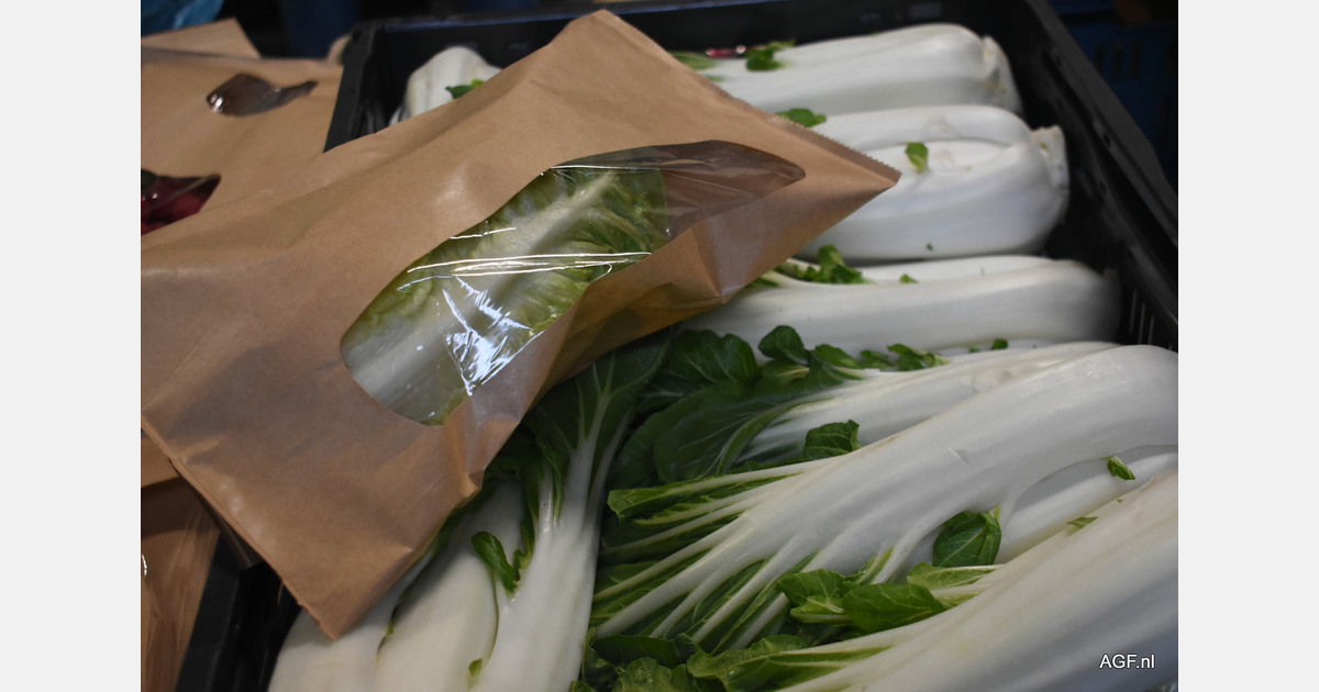 Argos Packaging presenta su solución NoWPaper a sus clientes