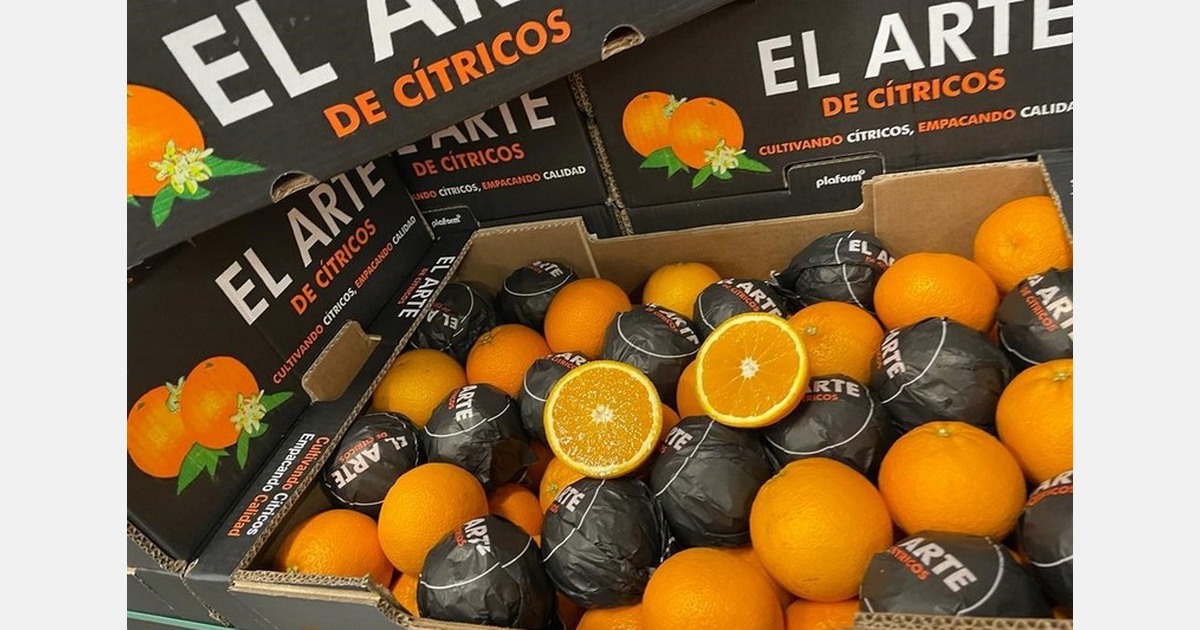 "A pesar del calor, la demanda de naranjas y mandarinas de ultramar es