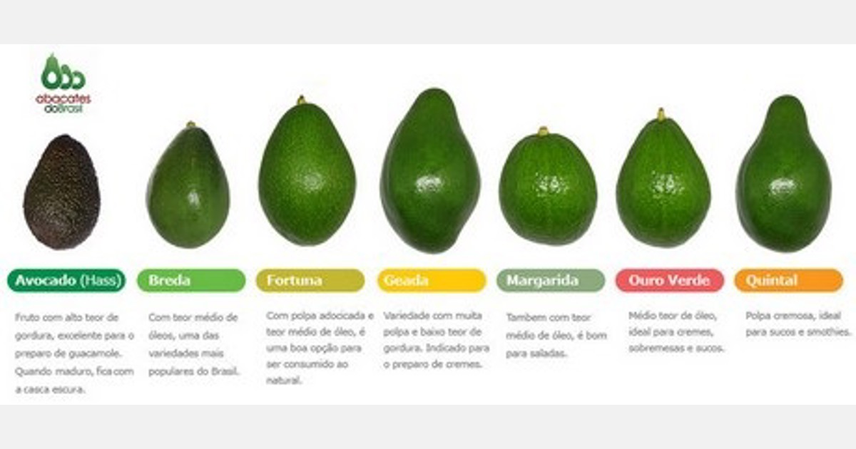 Evaluación del estrés por frío en variedades de aguacate