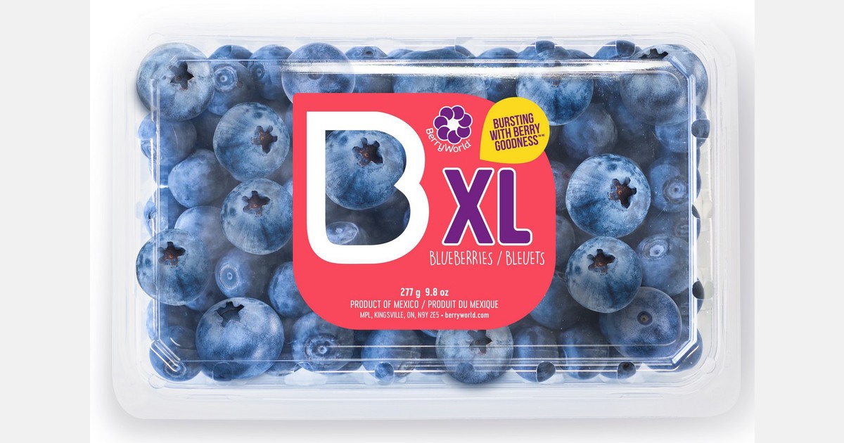 Nuevas variedades de "berries" para hacer frente a El Niño