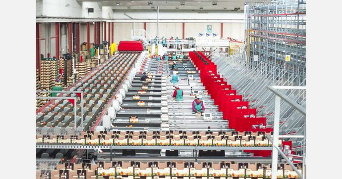 “La clave del tomate español calidad y sabor”