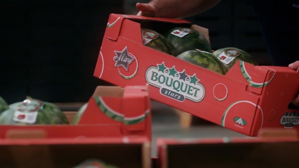 La situación ha mejorado comercialmente y los precios de la sandía finalmente se han animado”