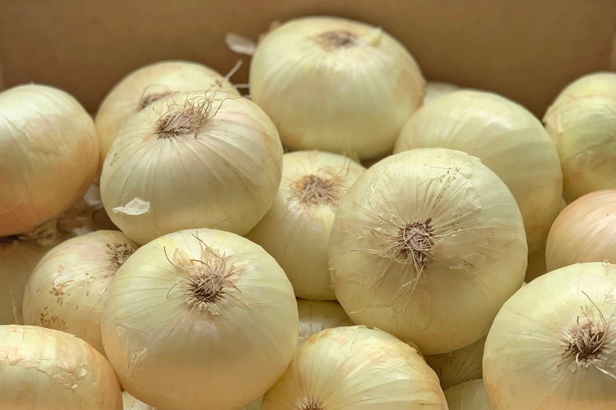 “Hace 15 años ya vimos que la cebolla dulce era un producto que iba a ...