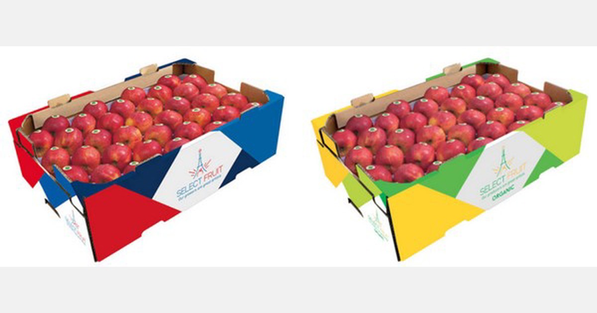 Nueva oferta de manzanas francesas para exportación