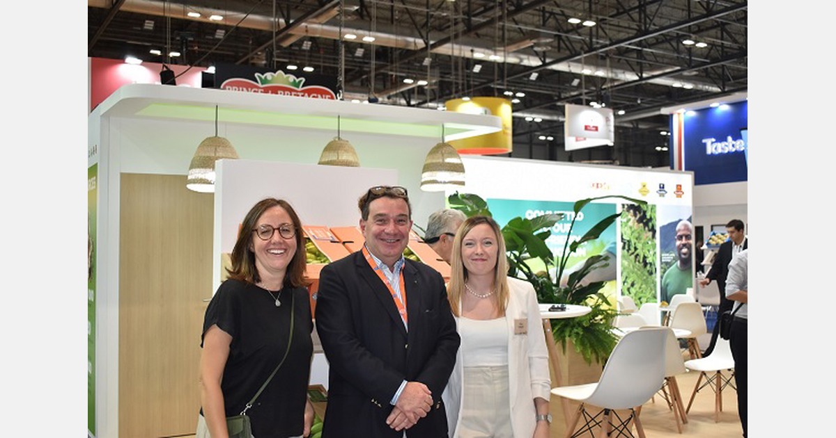 ¿el futuro de la banana francesa?