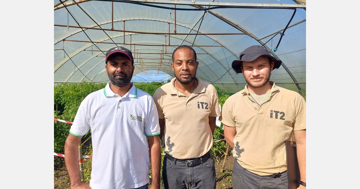 IT² diversifica sus proyectos de investigación para responder a la demanda de los productores