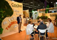Cricket se especializa en la producción de brócoli, coliflor y col.